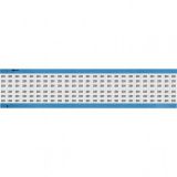 WM-231-SC-PK